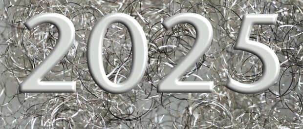 forskudsopgørelsen 2025